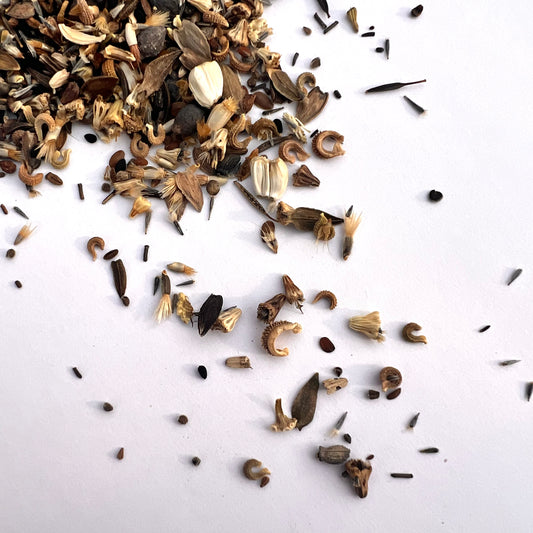 close up shot of biodiversity flower seed mix on a white background